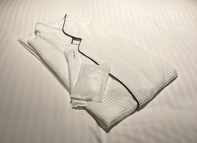 What Japanese Hotels Are Really Like: A Guide for Visitors Compact modern hotel room typical in Japan
