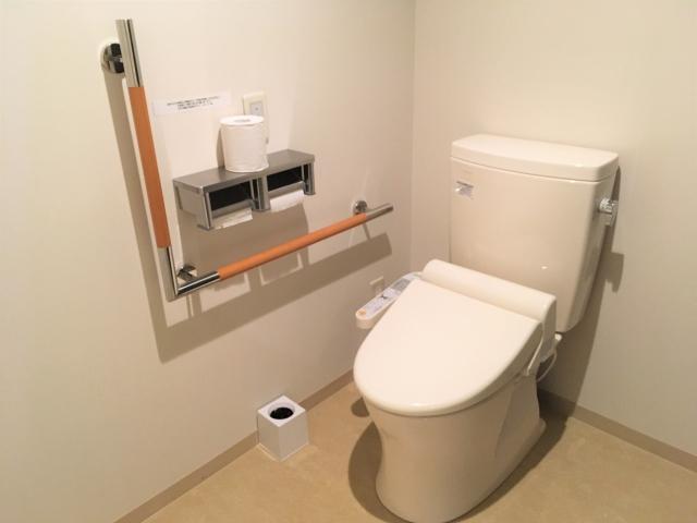 A high-tech Japanese toilet