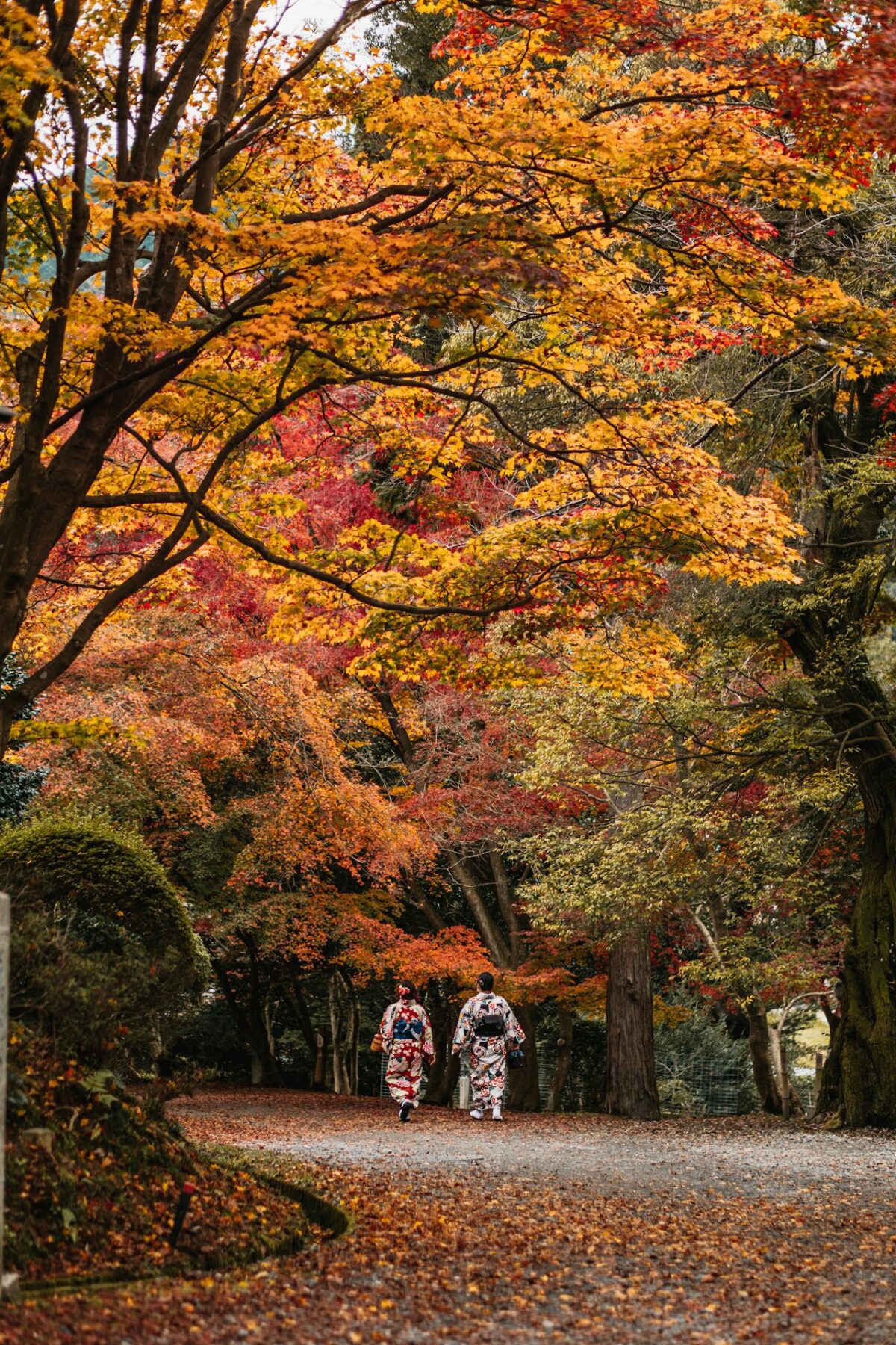 Best Time to Visit Japan: A Season-by-Season Guide for UK Travellers Two people walking along a leaf-covered path in autumn in Japan