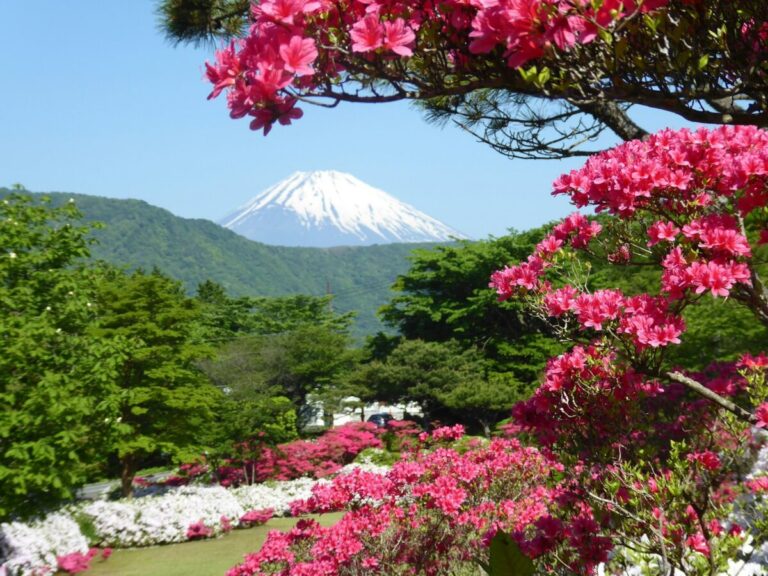 Best Time to Visit Japan: A Season-by-Season Guide for UK Travellers