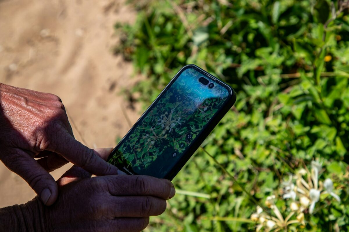 A hand holding a smartphone showing a map
