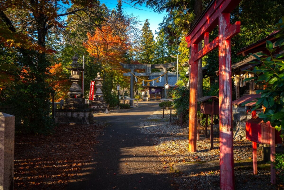 A wooden shrine structure among green trees in Japan