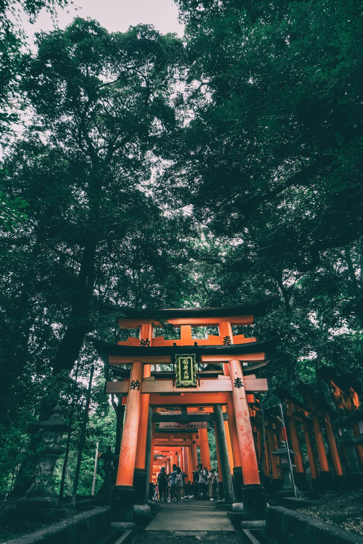 A vermilion torii gate in a forest in Japan