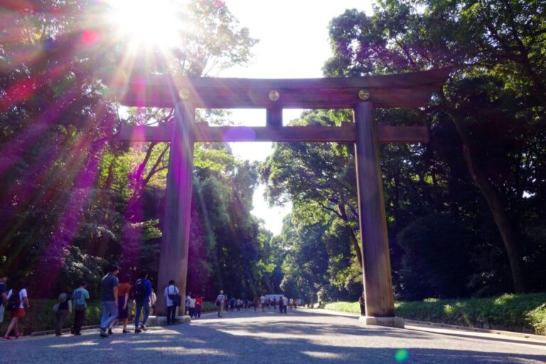 Essential Japanese Phrases for Your Japan Trip — and When You Actually Need Them